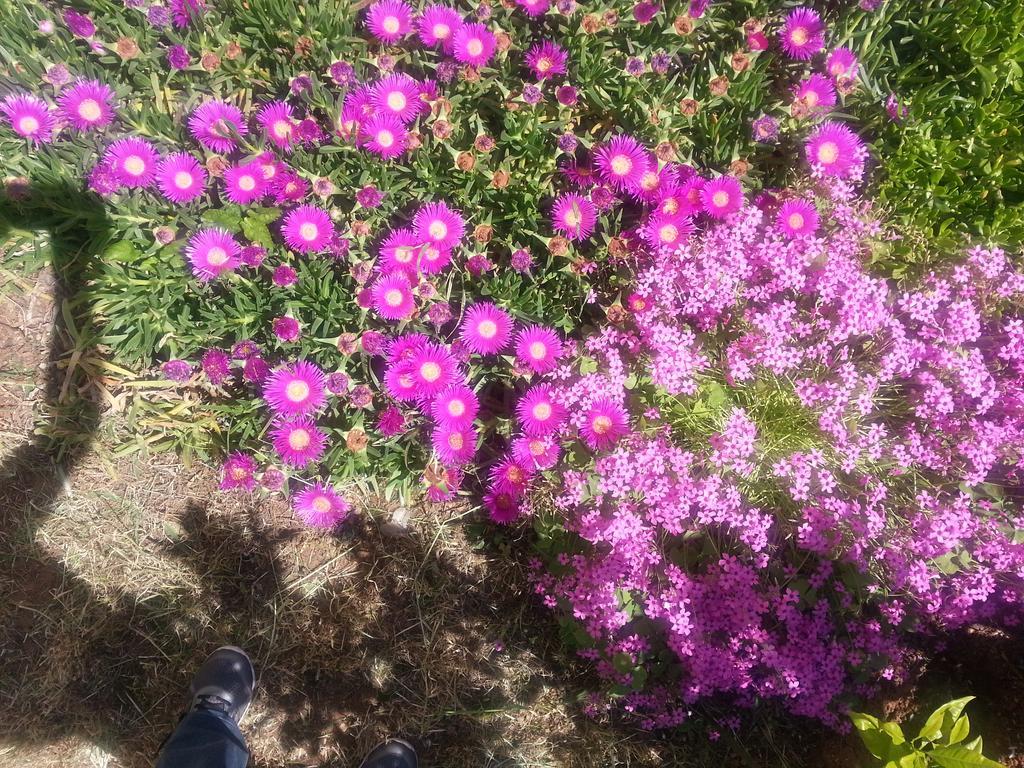 Tribalj Apartmani Villa Lilliana מראה חיצוני תמונה